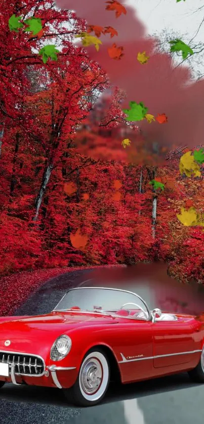 Classic red car on autumn road with vibrant leaves.