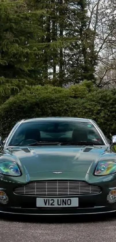 Vintage car parked in lush green surroundings, centered in frame.