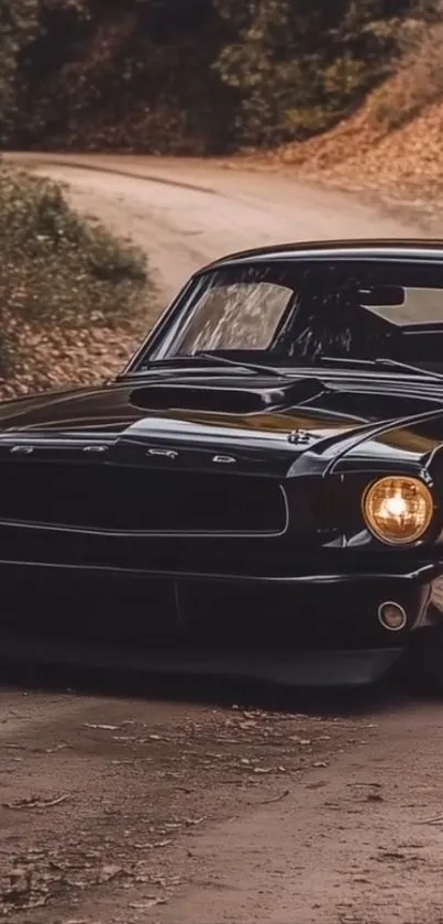 Classic black car on a scenic, winding forest road.