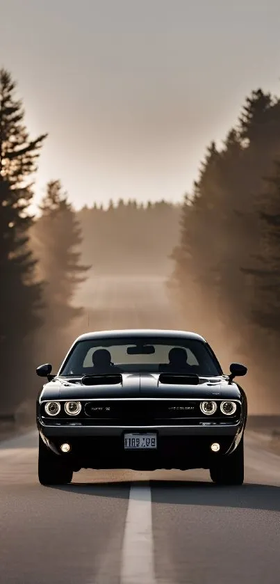 Classic car on a forest road during sunset.