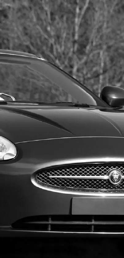 Black and white classic convertible car mobile wallpaper.