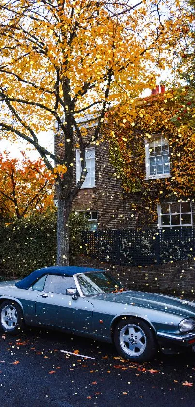 Classic convertible under autumn trees with golden leaves.