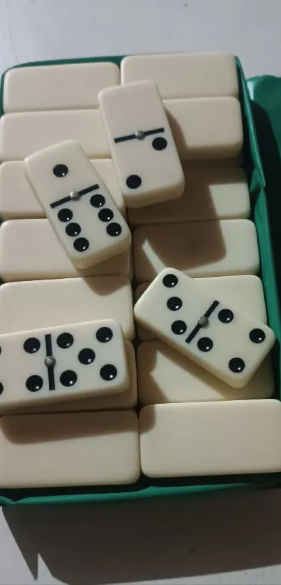 Ivory domino tiles with black dots in a green box. Classic and minimalist design.