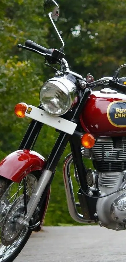 Classic Royal Enfield motorcycle on a scenic road.