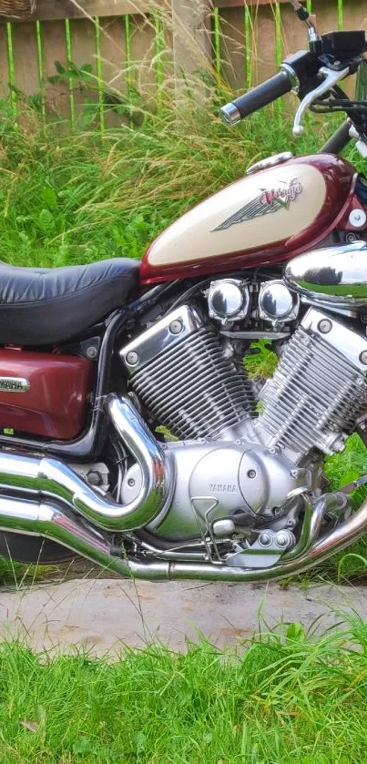 Vintage motorcycle parked on grass with chrome details.