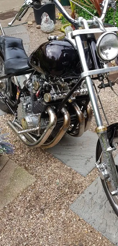 Vintage motorcycle parked in a lush garden with chrome details.