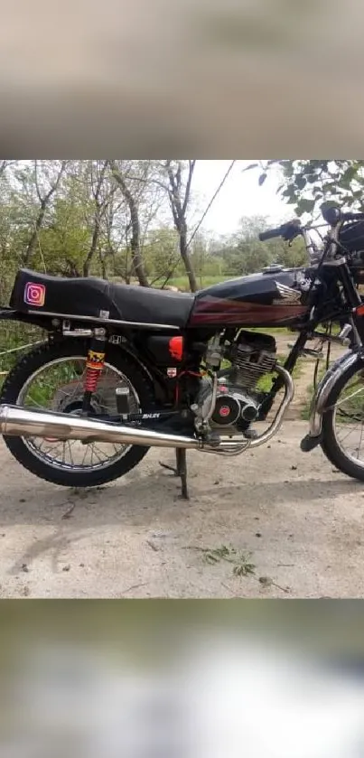 Classic motorcycle with chrome details against a lush natural scenery.