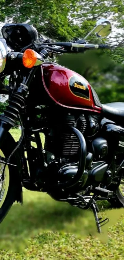 Classic motorcycle amidst lush green scenery.