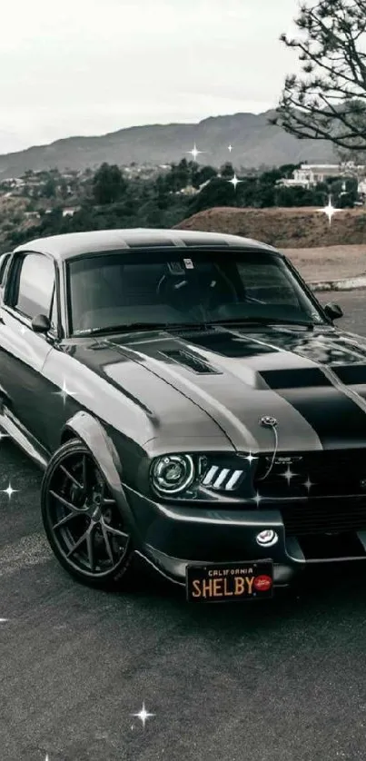 Classic muscle car on scenic road backdrop.