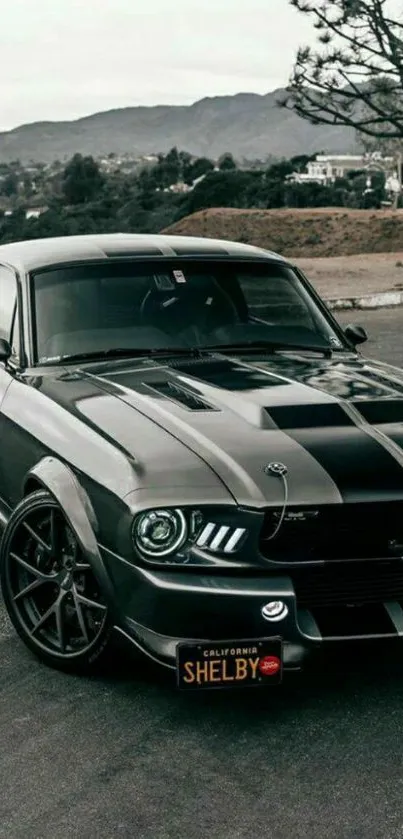 Classic Mustang car on scenic road.