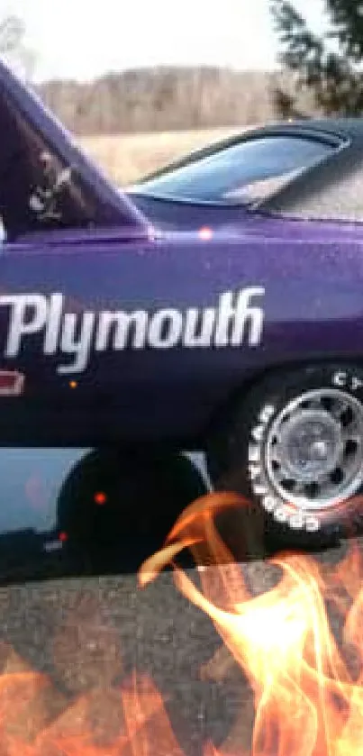 Purple classic Plymouth car in the sunlight.