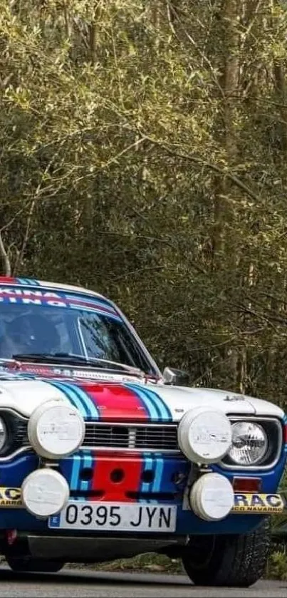 Classic rally car on a forest road.