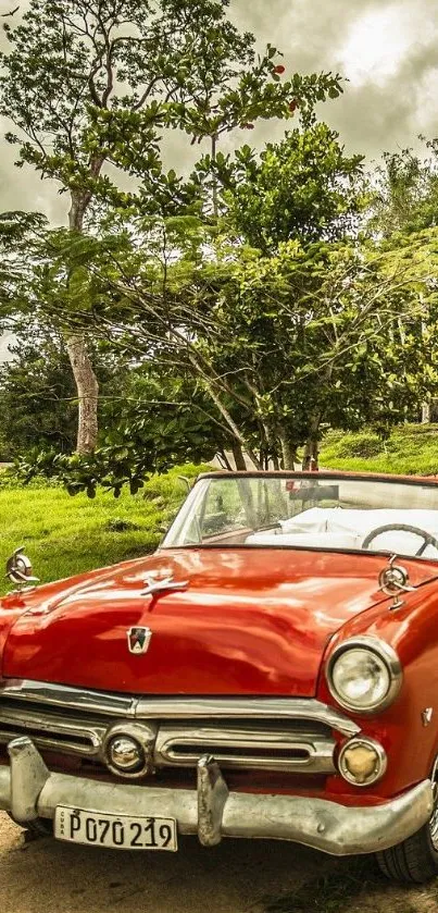 Classic red convertible car in a lush green landscape.