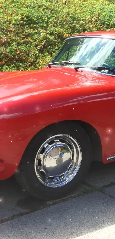 Classic red car parked on a sunny driveway, vintage aesthetics.