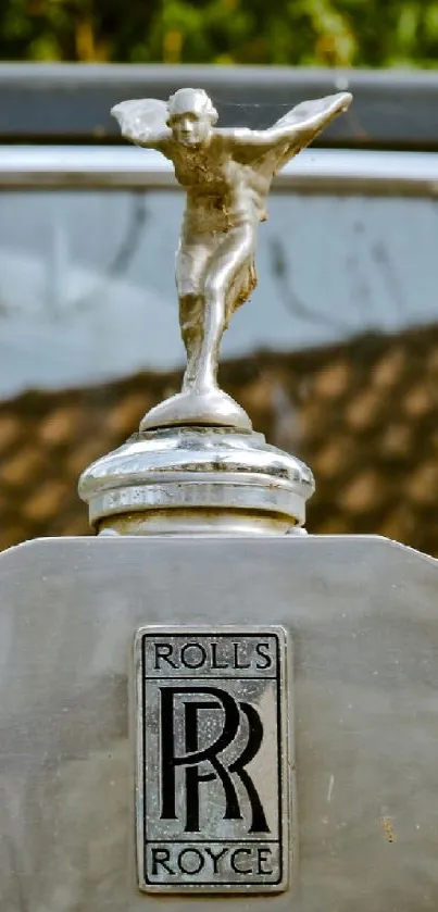 Close-up of a Rolls-Royce emblem on a vintage car hood.