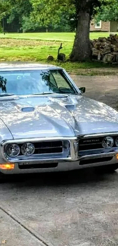 Classic silver muscle car parked with nature in the background.