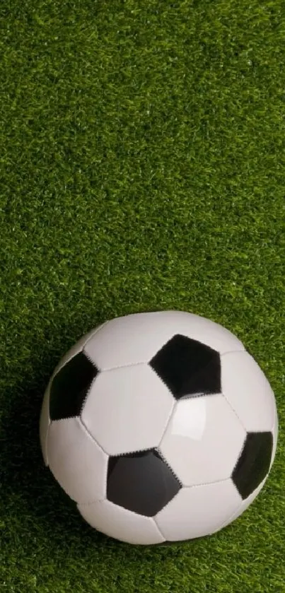 Soccer ball on green grass wallpaper for mobile devices.