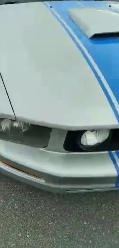 Classic sports car with blue racing stripe.