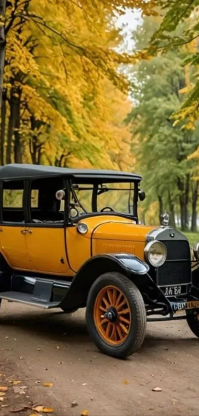 Vintage car with autumn backdrop, showcasing classic design.