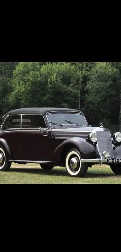 Vintage car parked on grassy field with forest backdrop.