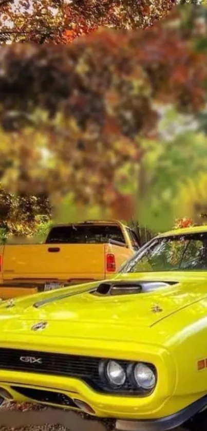 Bright yellow classic car under autumn trees.