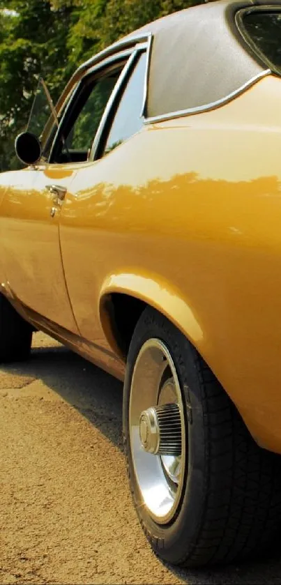 Side view of classic yellow car on sunny road.