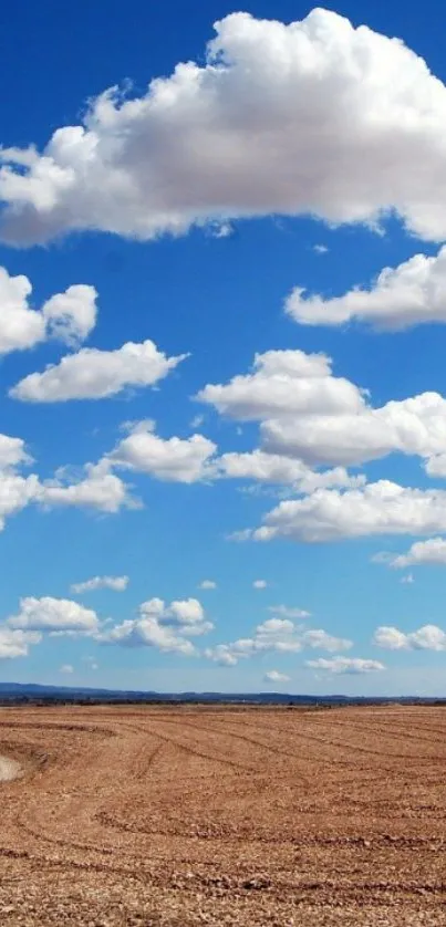 Vibrant blue sky with fluffy clouds over a wheat field.