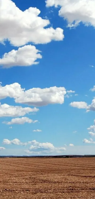 A clear blue sky with fluffy clouds over a tranquil field.