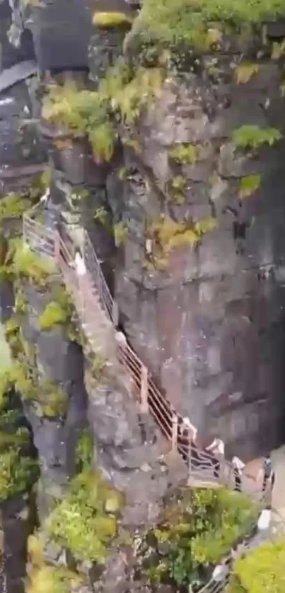 Cliffside pathway with rocks and greenery, perfect for adventure lovers.