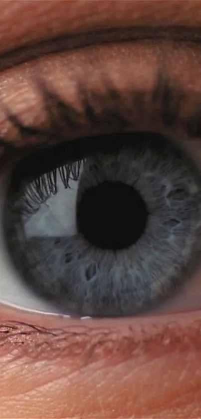 Close-up photograph of a human eye displaying intricate details and blue-gray tones.