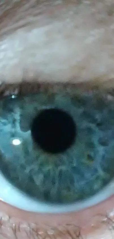 High-definition close-up wallpaper of a human eye, showcasing its blue-green hues.