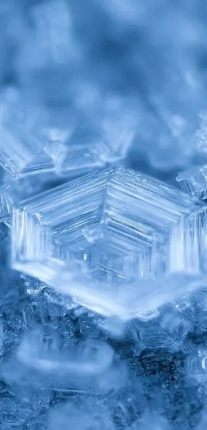 Close-up of a frosty hexagonal crystal in shades of blue.