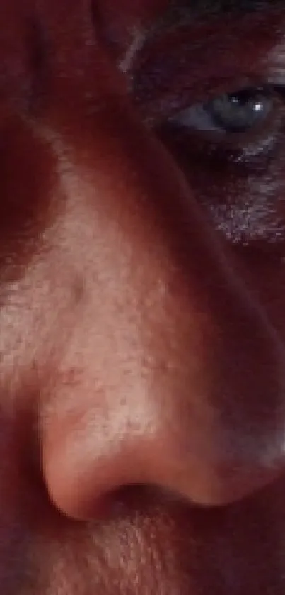 Close-up of a face with reflective skin texture and natural tones.