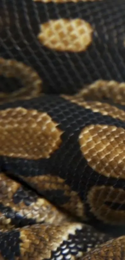 Close-up of snake scales showing intricate patterns and textures.