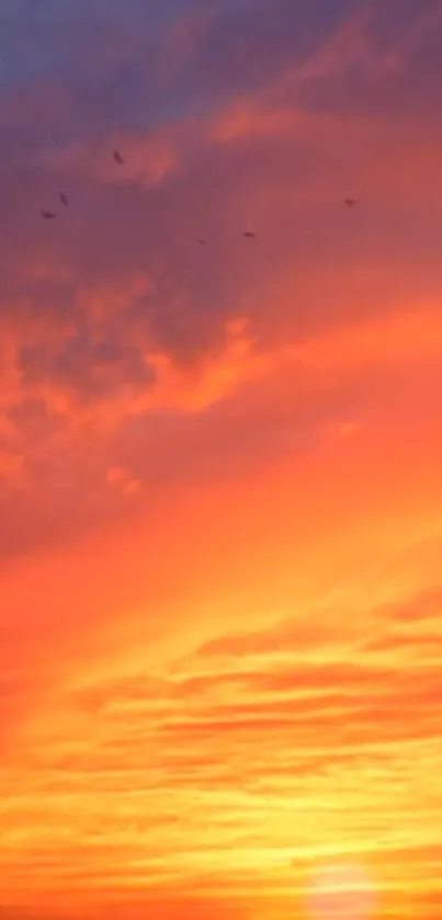 Cloud Sky Atmosphere Live Wallpaper