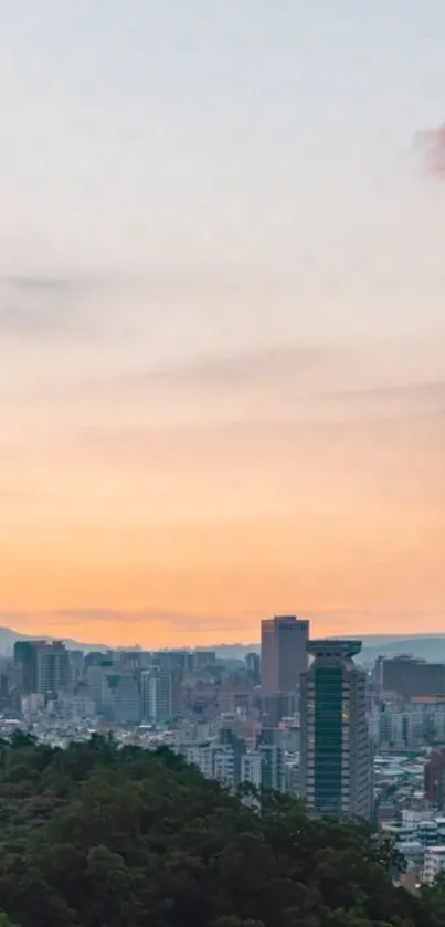 Cloud Sky Building Live Wallpaper