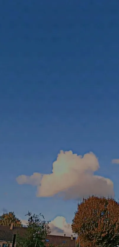 Cloud Sky Building Live Wallpaper