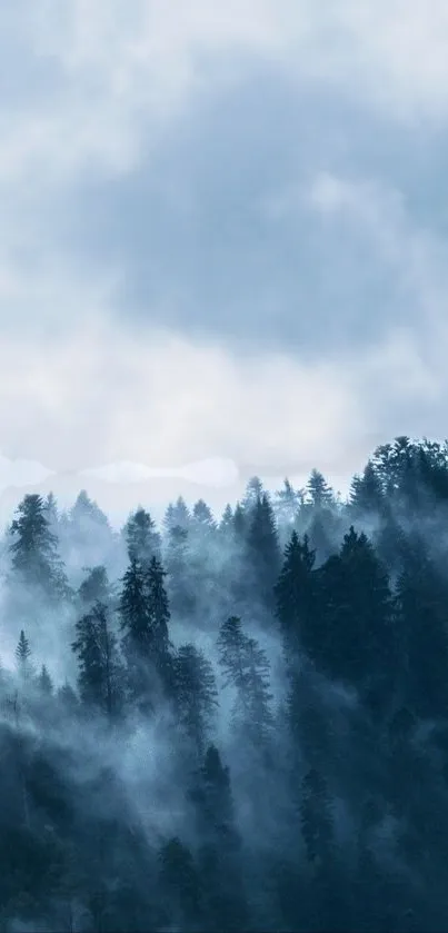 Cloud Sky Fog Live Wallpaper