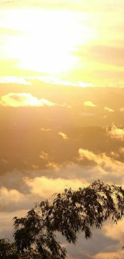 Cloud Sky Light Live Wallpaper