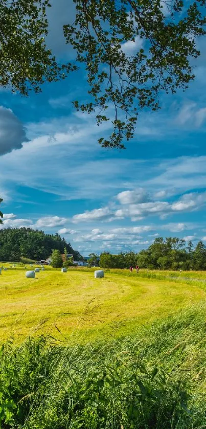 Cloud Sky Plant Live Wallpaper