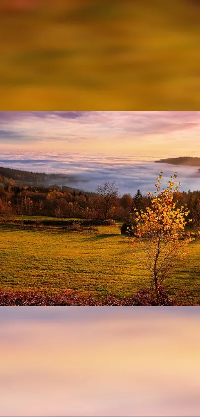 Cloud Sky Plant Live Wallpaper