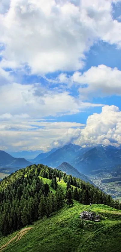 Cloud Sky Plant Live Wallpaper