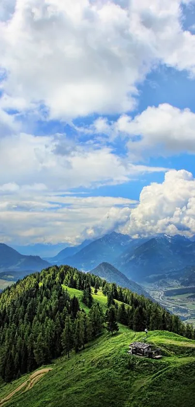 Cloud Sky Plant Live Wallpaper