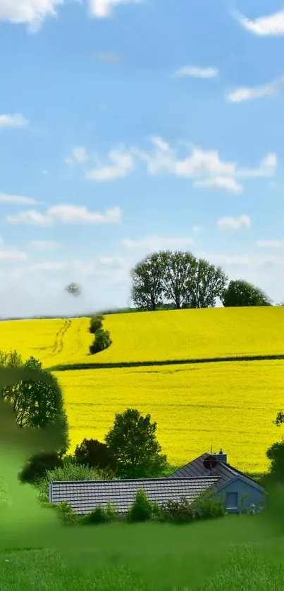 Cloud Sky Plant Live Wallpaper