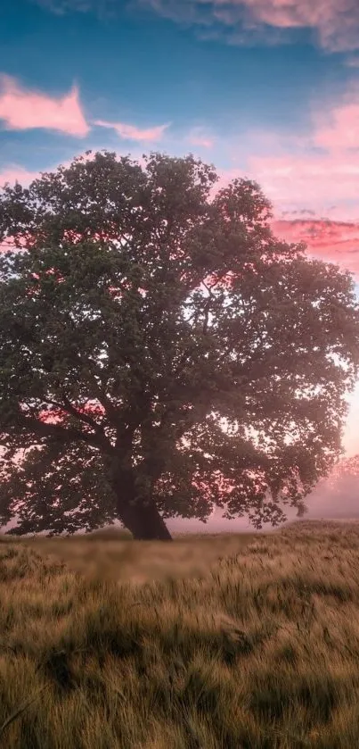 Cloud Sky Plant Live Wallpaper