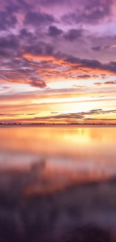 sunshine Live Wallpaper