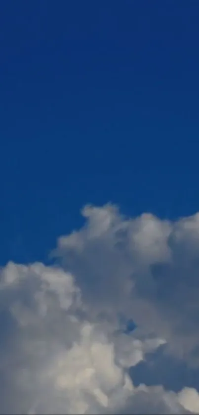 A deep blue sky with fluffy white clouds.