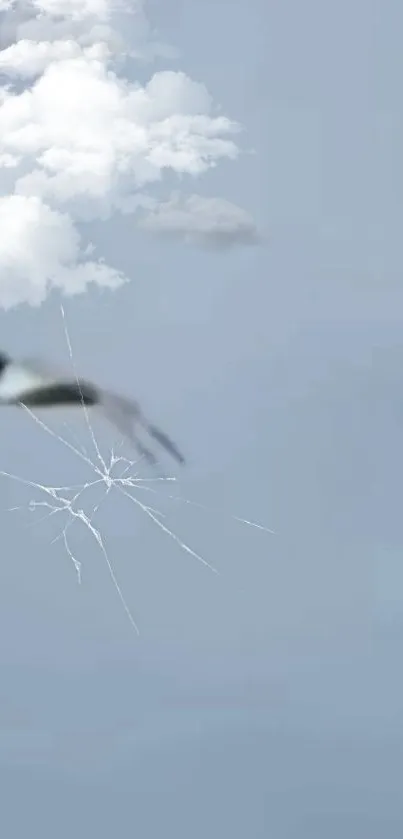 Mobile wallpaper featuring clouds, a bird, and a cracked effect on a light blue sky.