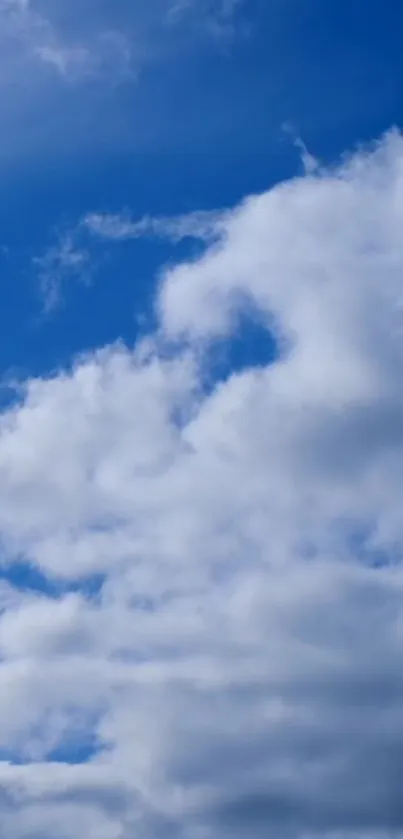 Blue sky filled with fluffy white clouds.