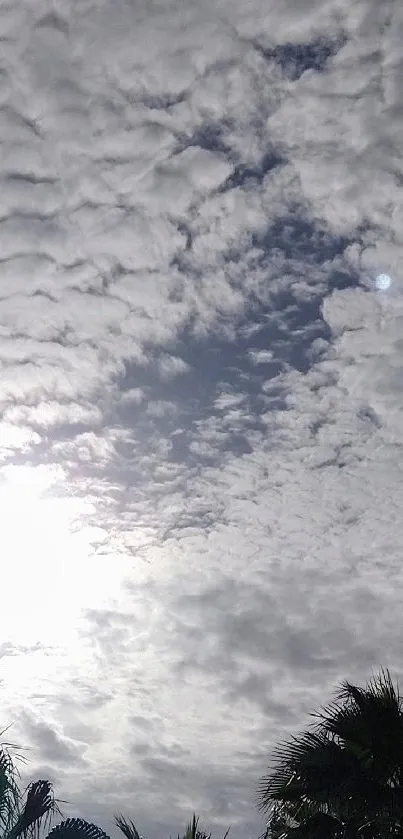 Cloudy sky with sunlight and tree silhouettes.